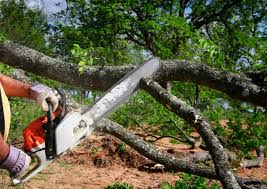 Best Lawn Maintenance Plans  in Hden Springs, ID