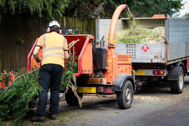 Best Lawn Drainage Solutions  in Hden Springs, ID