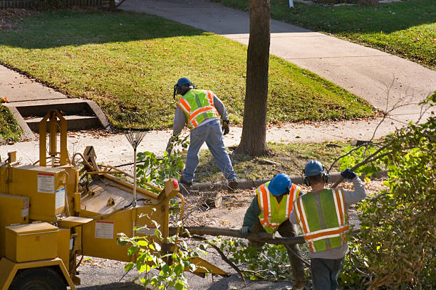 Best Lawn Pest Prevention  in Hden Springs, ID